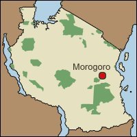 Debala va Morogoro