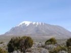 Wiks va Kilimanjaro