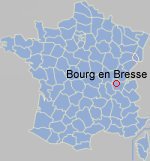Bourg en Bresse rea koe Franca